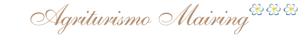 Logo Maso Mairing
